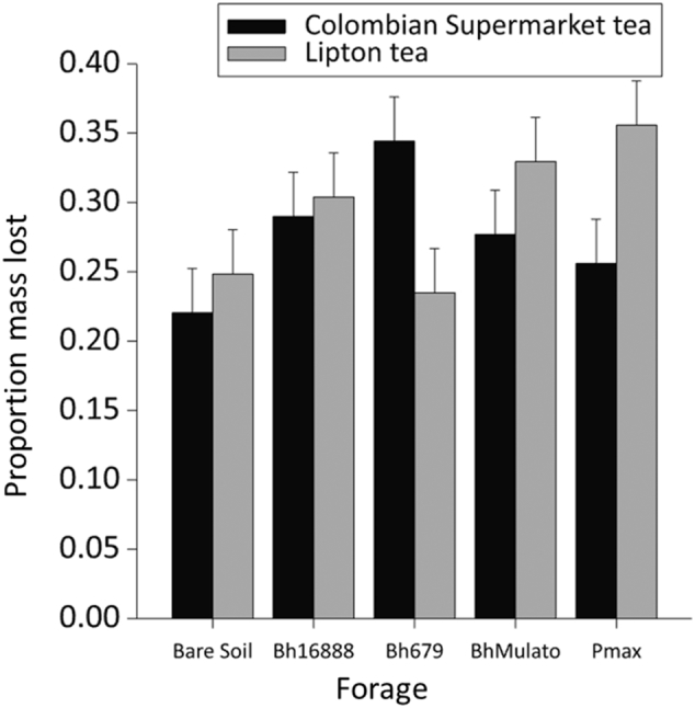 Fig. 9