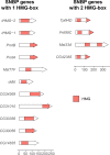 Figure 1—figure supplement 2.