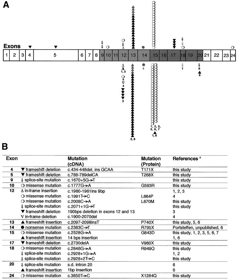 Figure  5