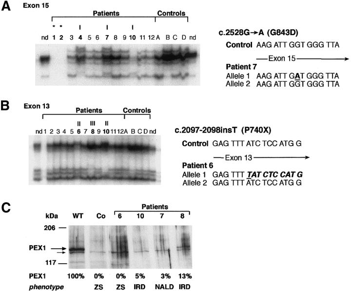 Figure  1