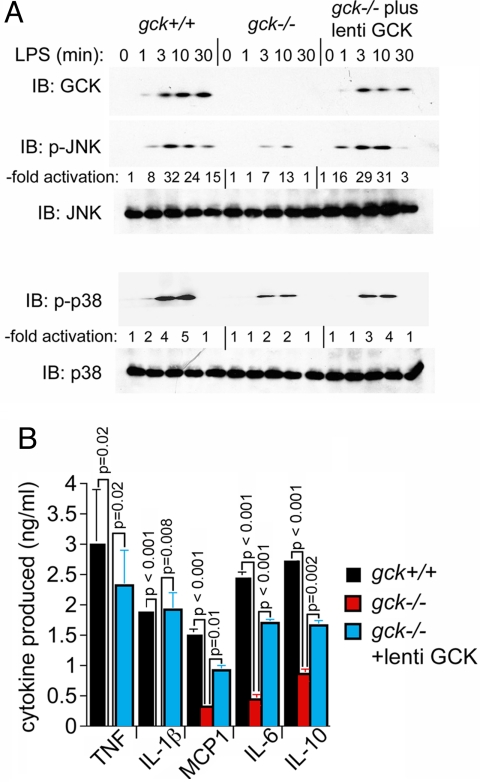 Fig. 4.