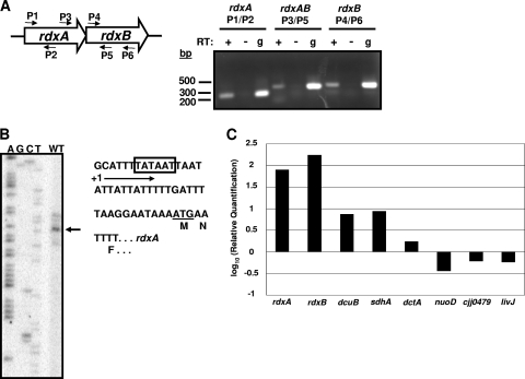 FIG. 4.