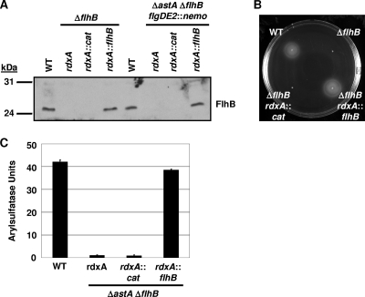 FIG. 6.