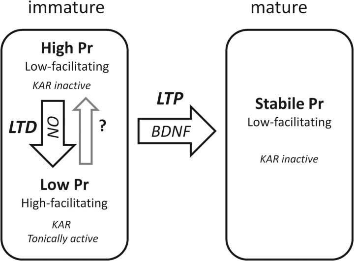 Figure 7.