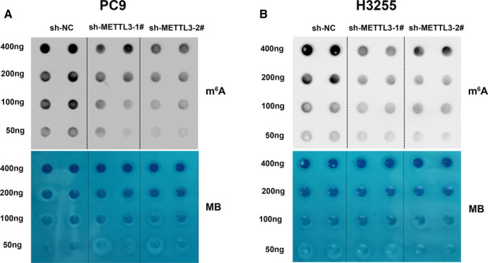 FIGURE 3