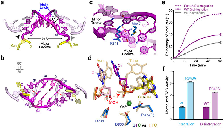 Fig. 3: