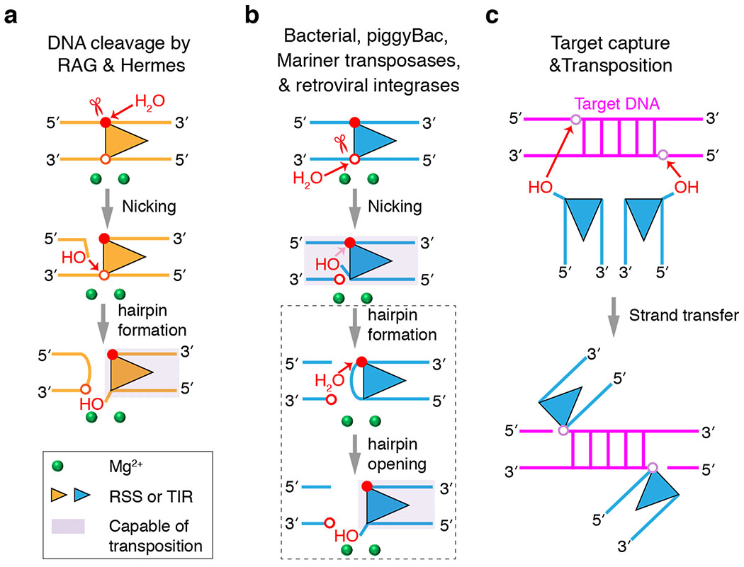 Extended Data Fig. 1
