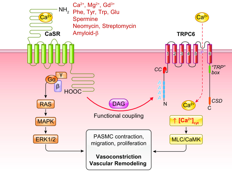 FIGURE 12.