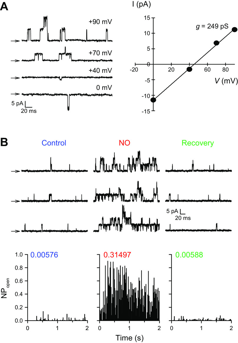 FIGURE 16.