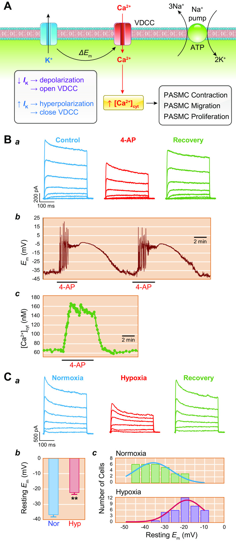 FIGURE 15.