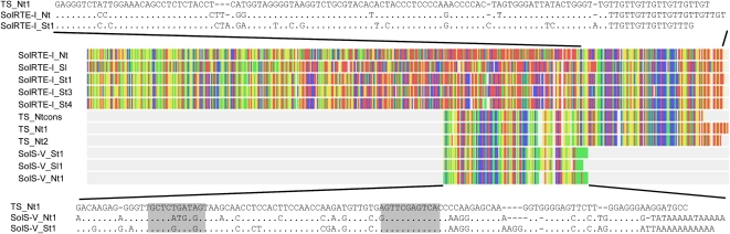 Figure 6.