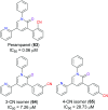 Fig. 32