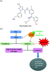 Fig. 6