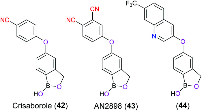 Fig. 21