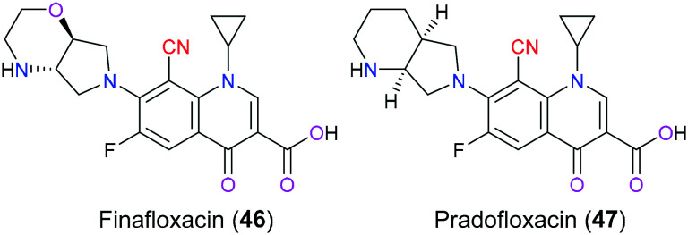 Fig. 23