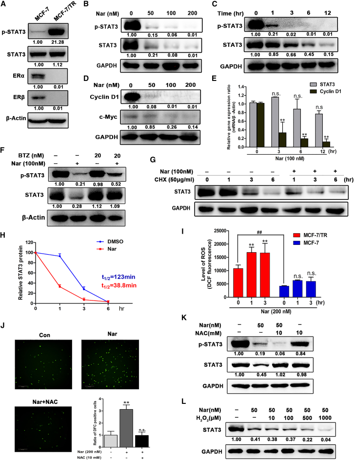 Figure 4