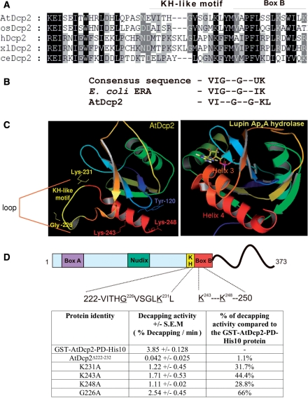 Figure 7.