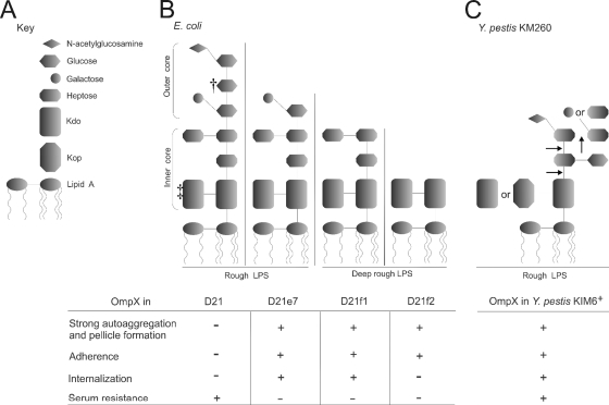 FIG. 6.