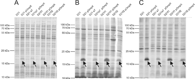 FIG. 8.