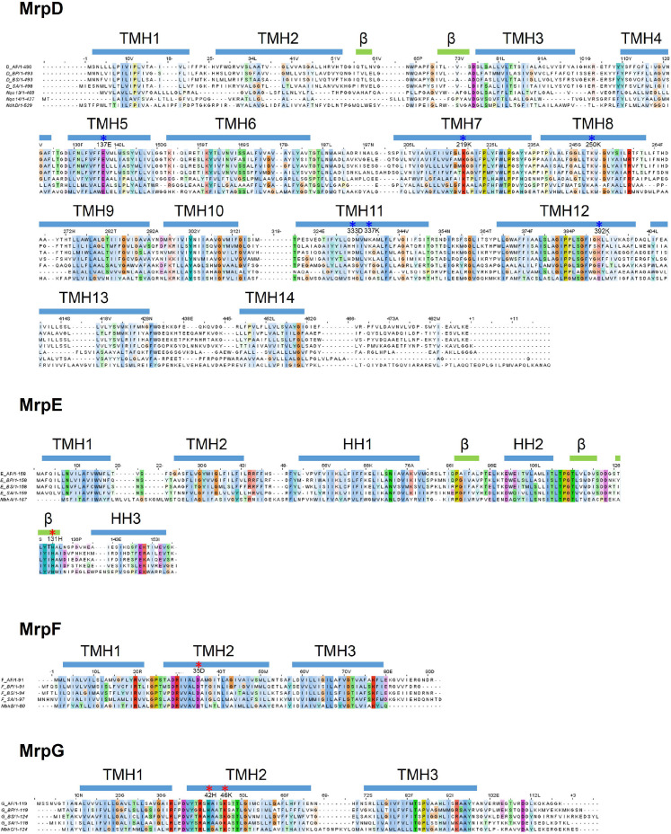 Figure 4—figure supplement 4.