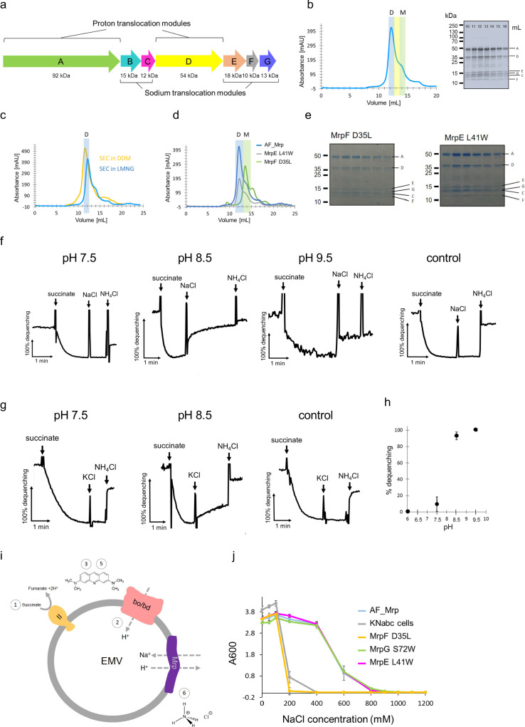 Figure 1—figure supplement 1.