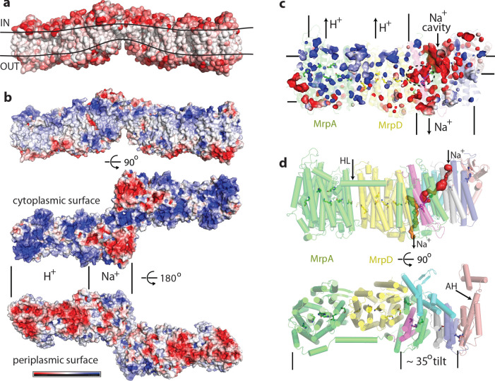 Figure 2.