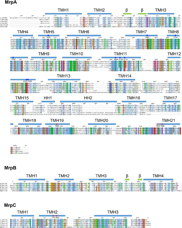 Figure 4—figure supplement 3.