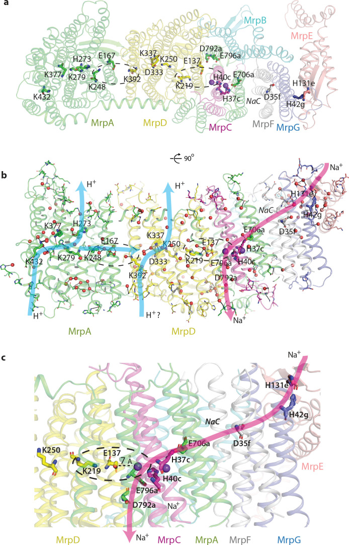 Figure 4.