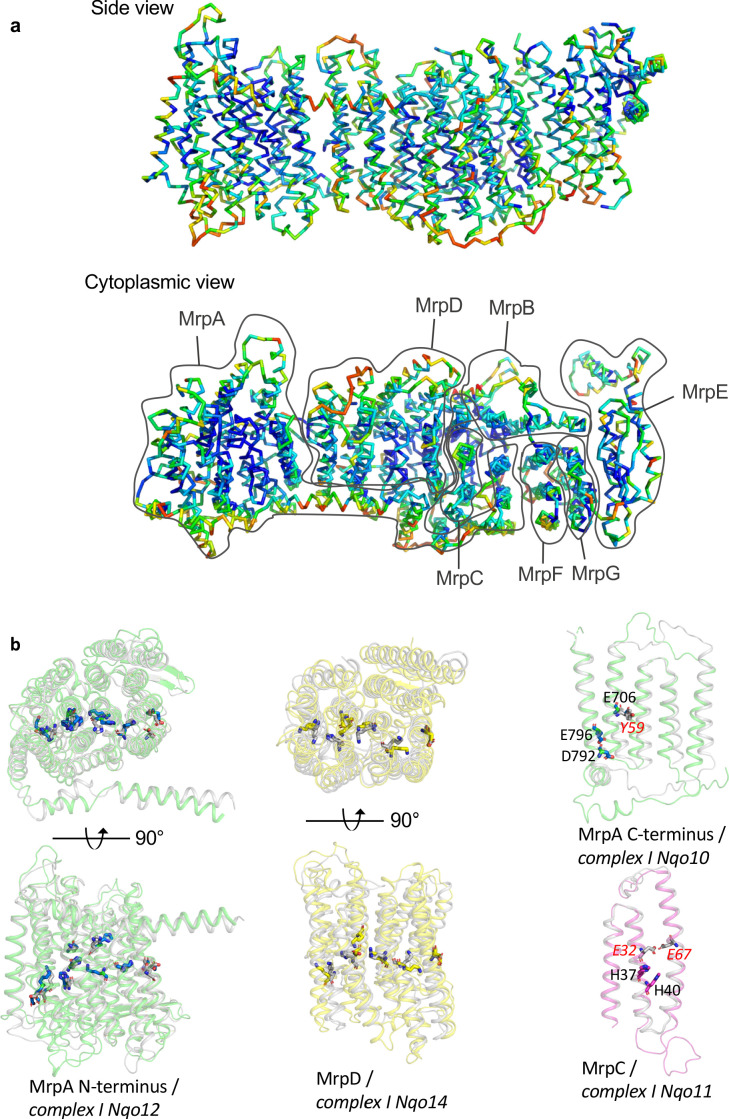 Figure 4—figure supplement 2.