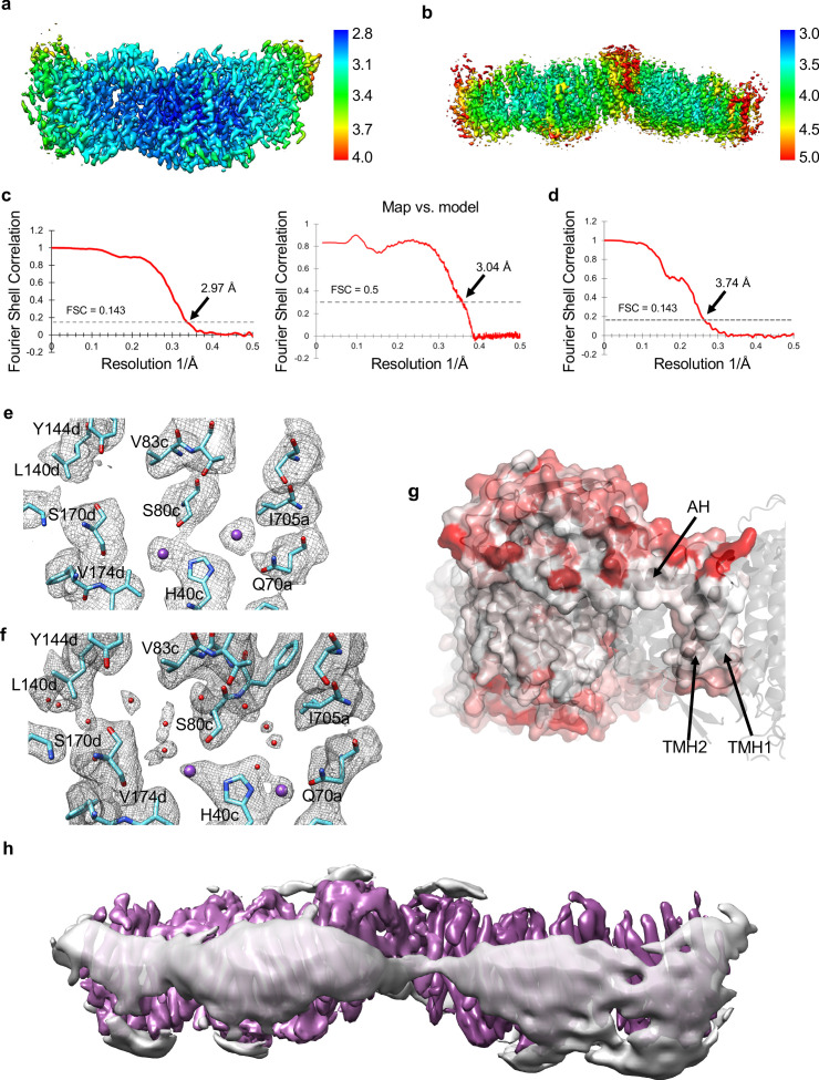 Figure 2—figure supplement 1.