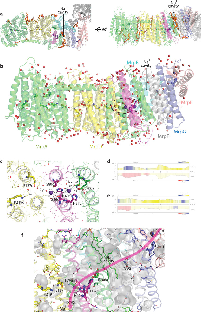 Figure 4—figure supplement 1.