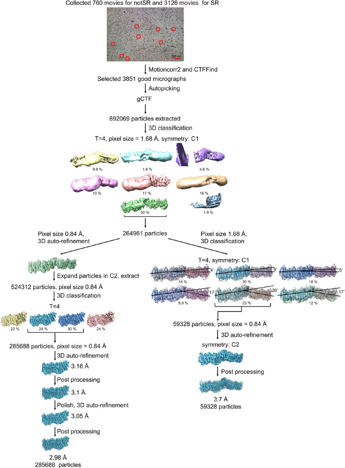 Figure 1—figure supplement 3.