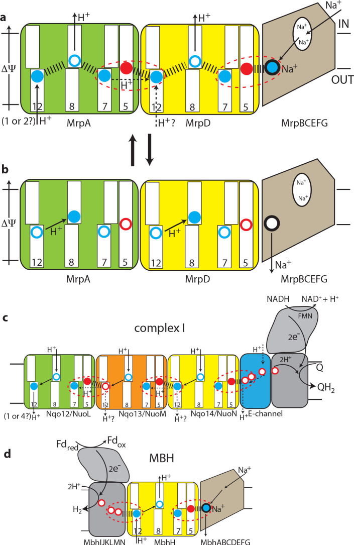 Figure 5.