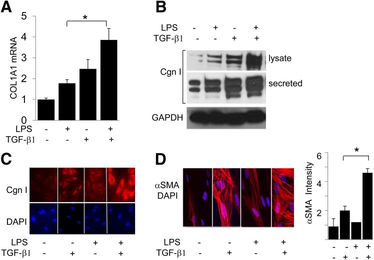 Figure 3