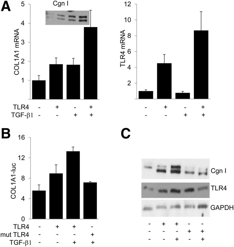 Figure 4