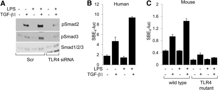 Figure 6