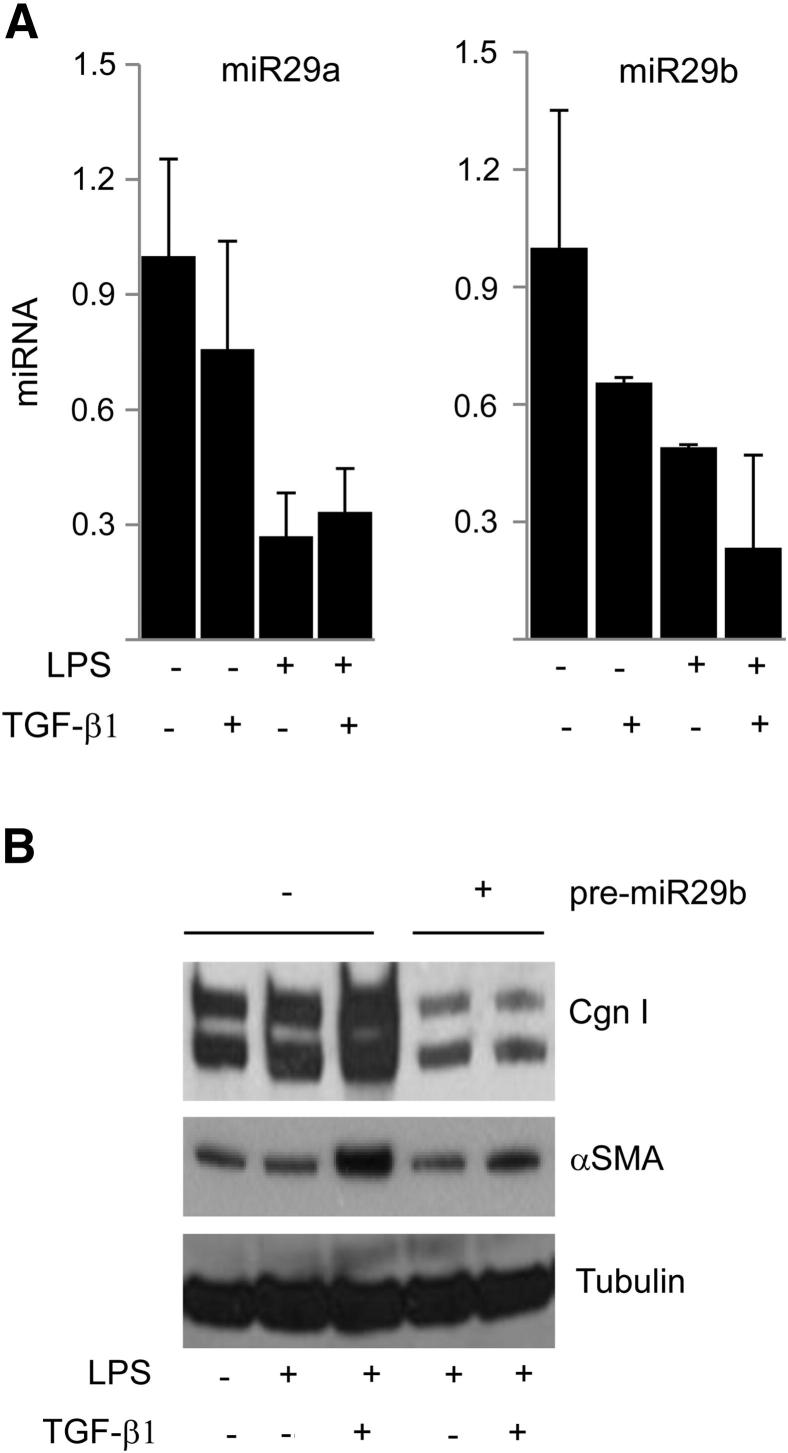 Figure 7