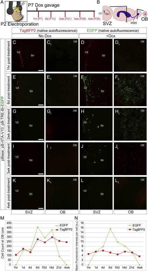 Figure 3