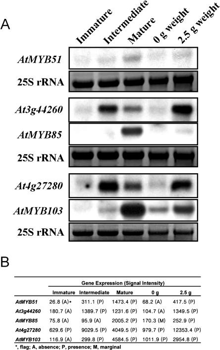 Figure 4.