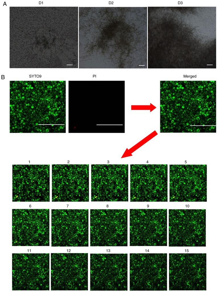 Figure 3.