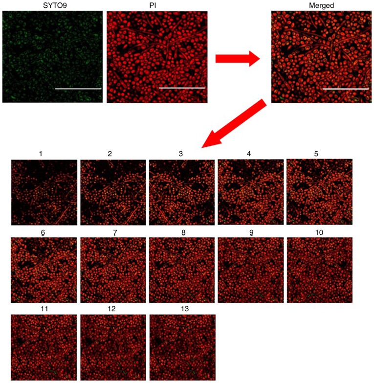 Figure 4.