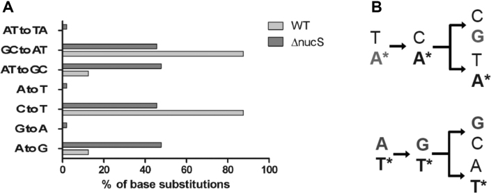 Figure 6.