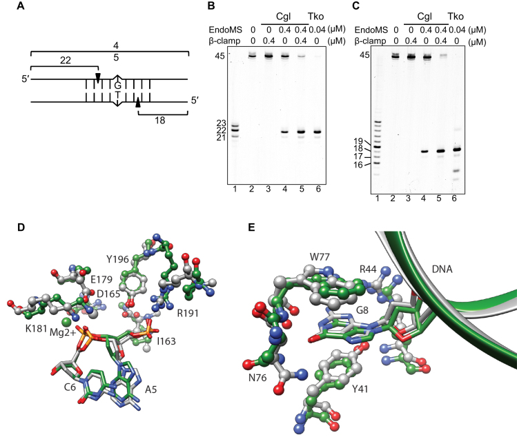 Figure 4.