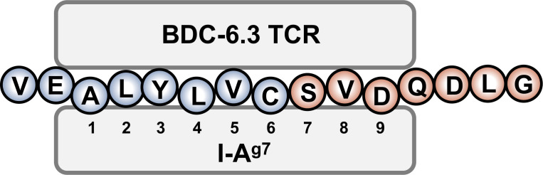 Figure 5