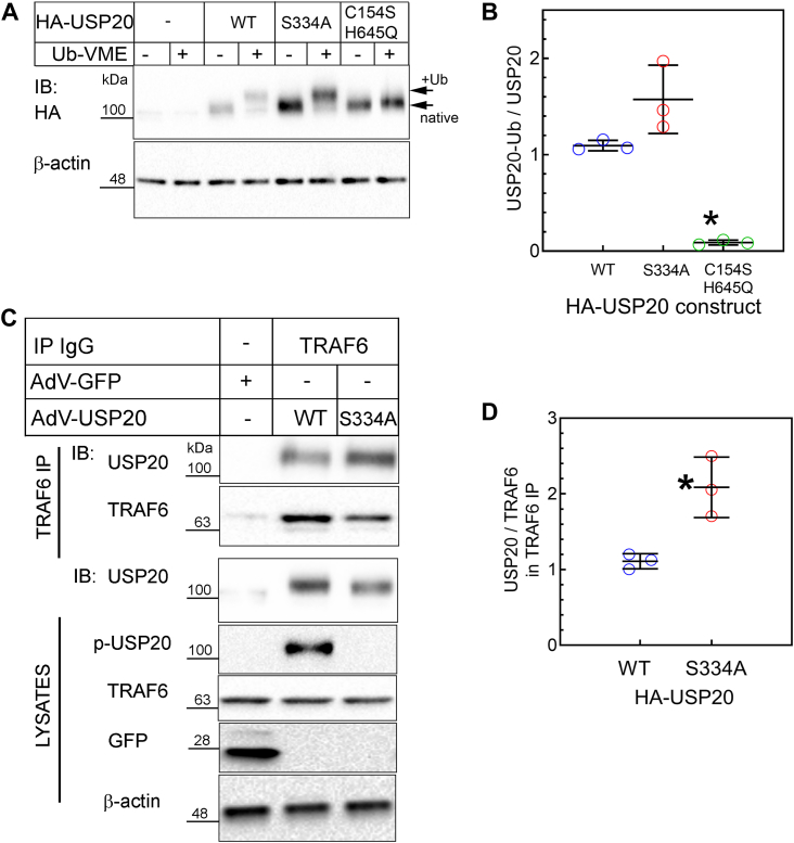 Figure 6