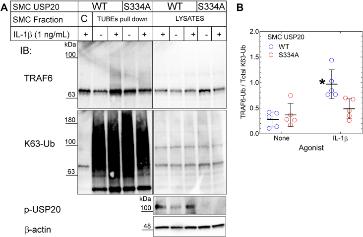 Figure 7