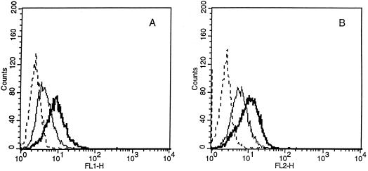 FIG. 6