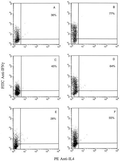 FIG. 7