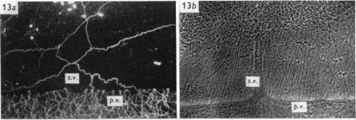 Fig. 13