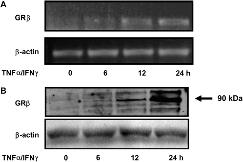 Figure 9.